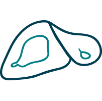 Acute care surgery icon