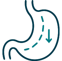 Bariatric surgery icon